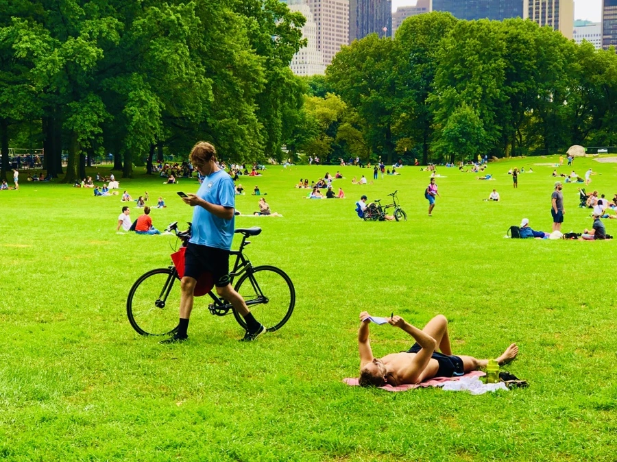 IMG_0067.jpg?type=w966