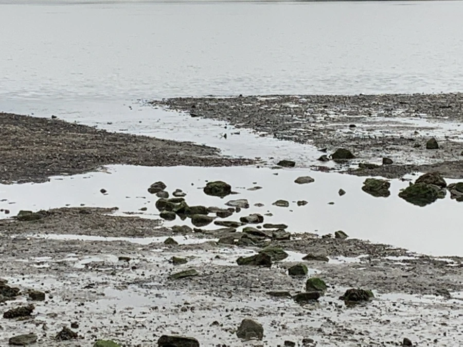 IMG_3685.jpg?type=w966