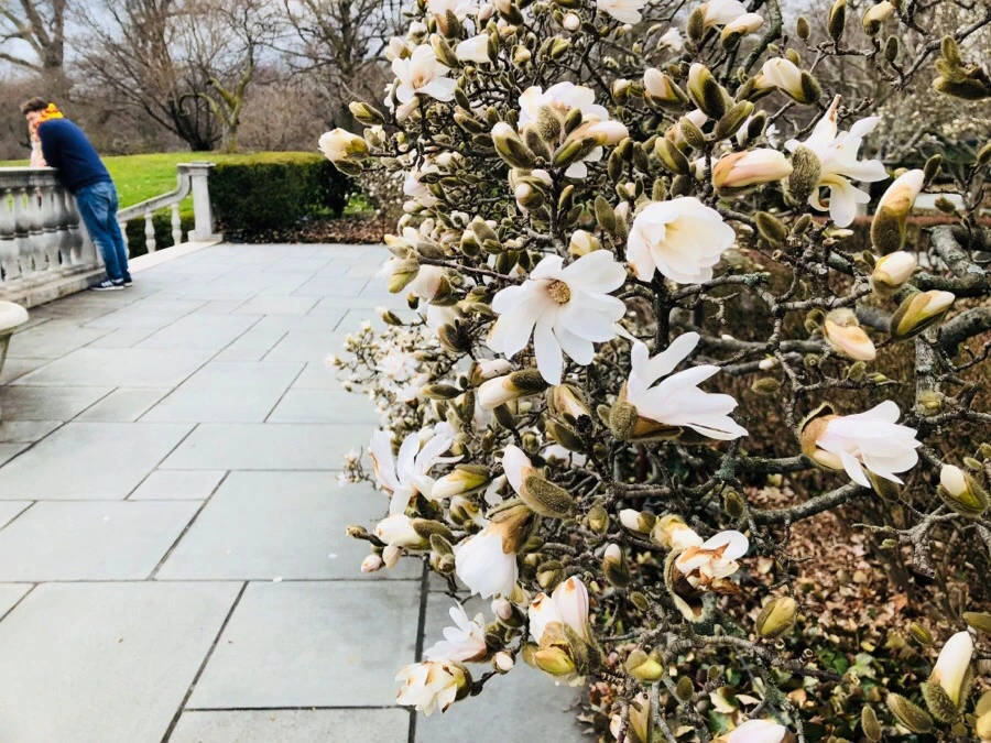 IMG_3830.jpg?type=w966