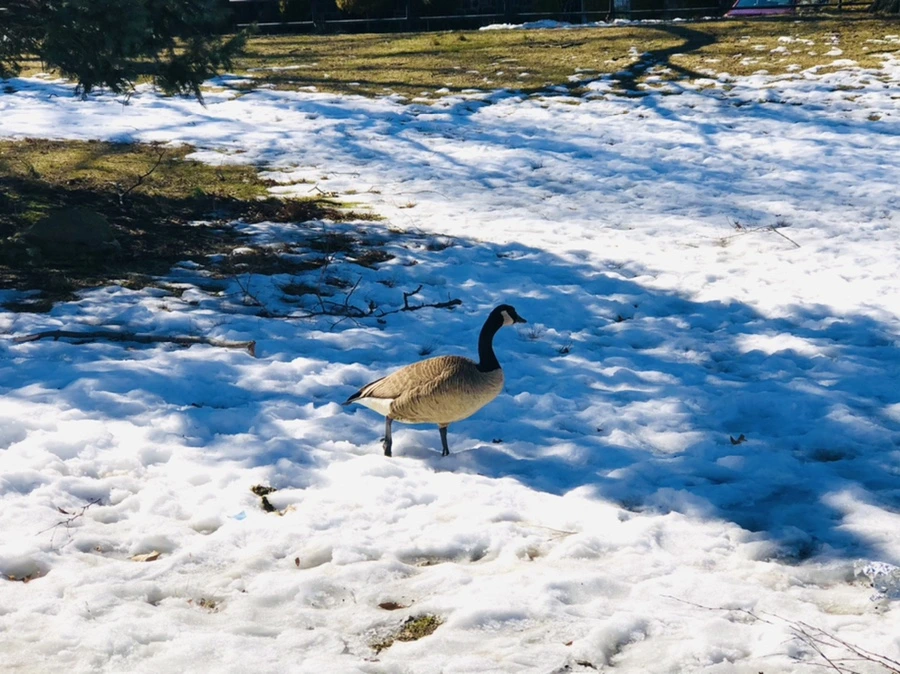 IMG_4866.jpg?type=w966