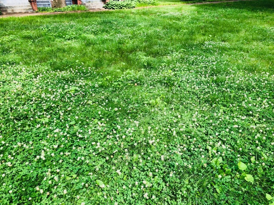 IMG_7456.jpg?type=w966