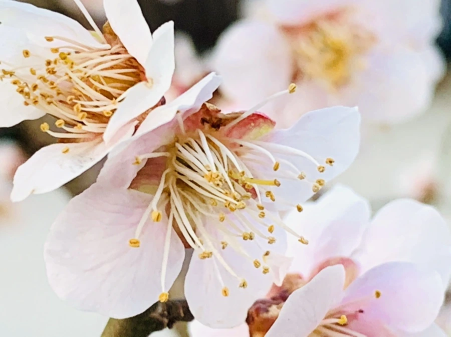 IMG_2281.jpg?type=w966