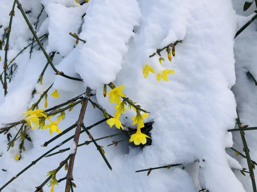 IMG_7025.jpg?type=w966