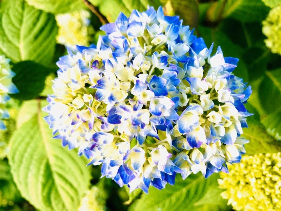 5LNKZ44nvgDGzcGGC2WWfqRvgiQ