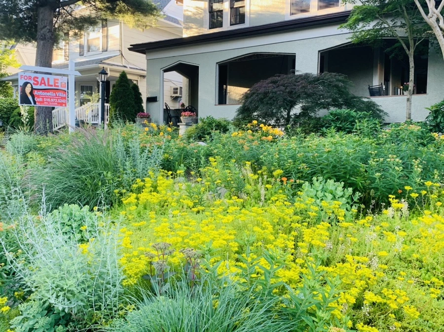 IMG_3941.jpg?type=w966