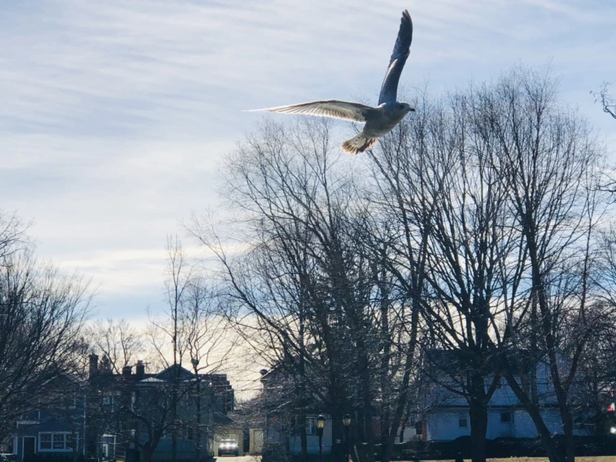 IMG_5531.jpg?type=w966