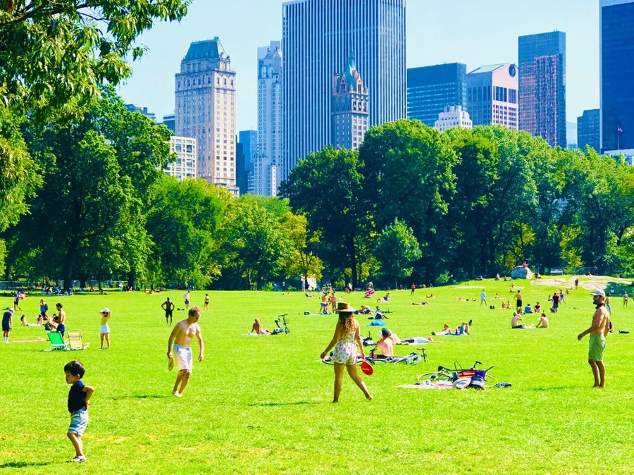 IMG_9395.jpg?type=w966