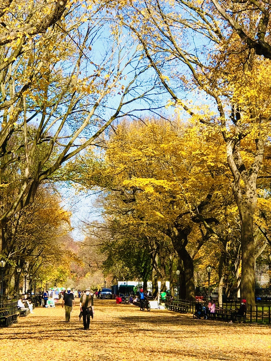 IMG_4248.jpg?type=w966