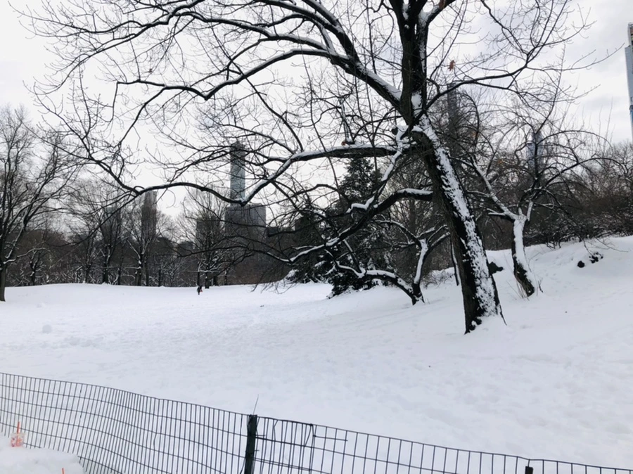 IMG_9525.jpg?type=w966