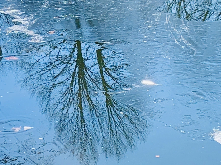 IMG_9091.jpg?type=w966