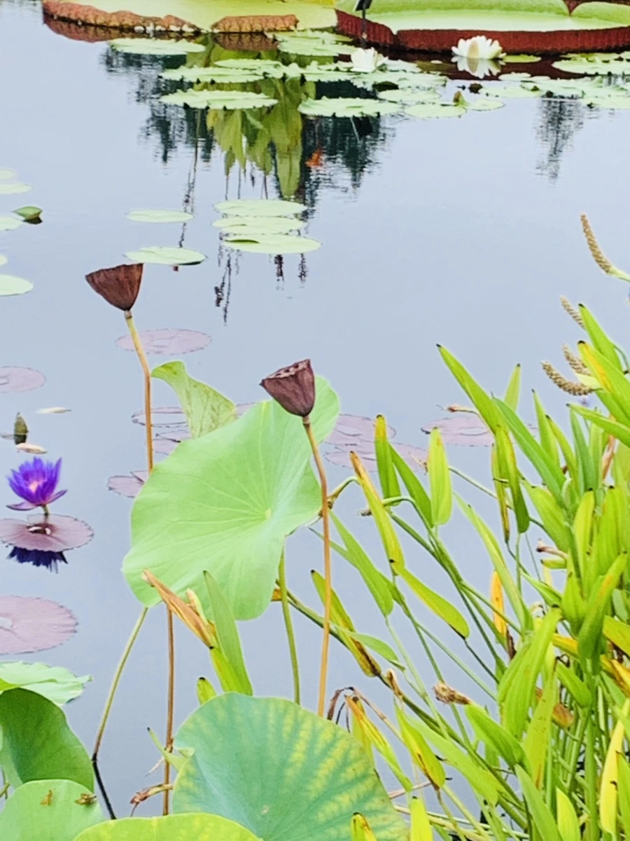 IMG_6473.jpg?type=w966