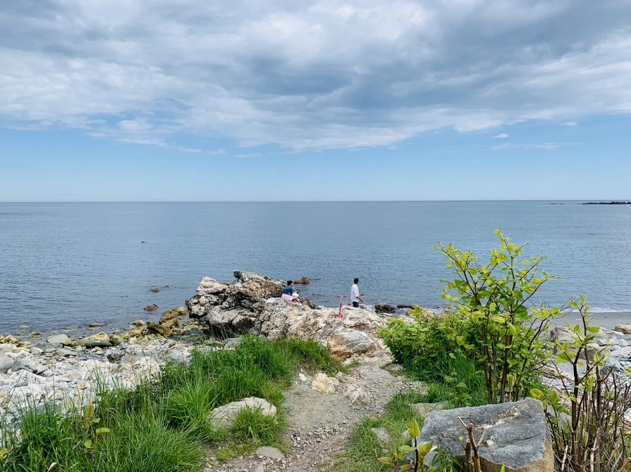 IMG_2748.jpg?type=w966