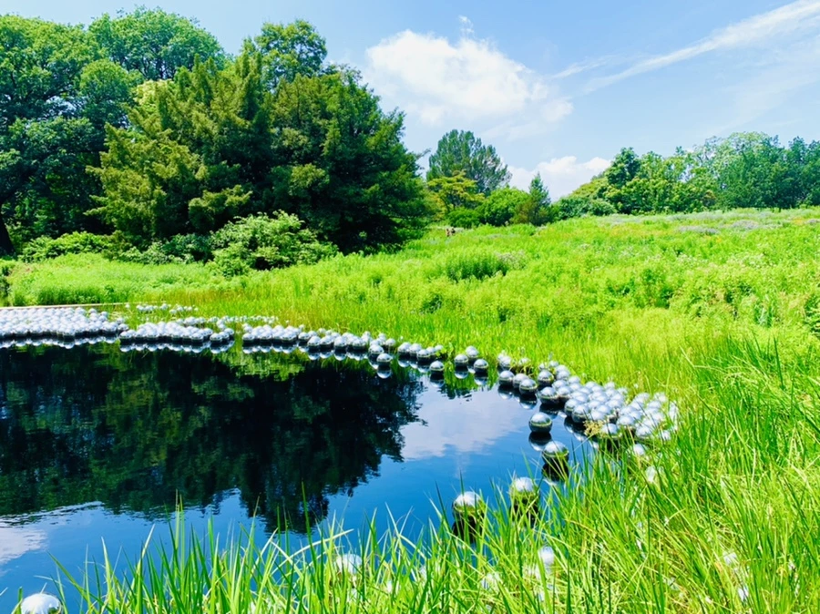 IMG_5420.jpg?type=w966