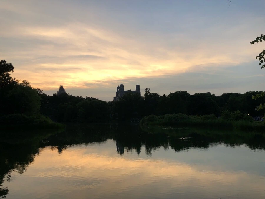 IMG_7711.jpg?type=w966