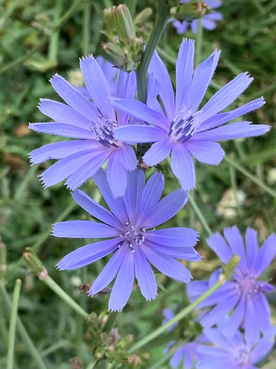 IMG_5904.jpg?type=w966