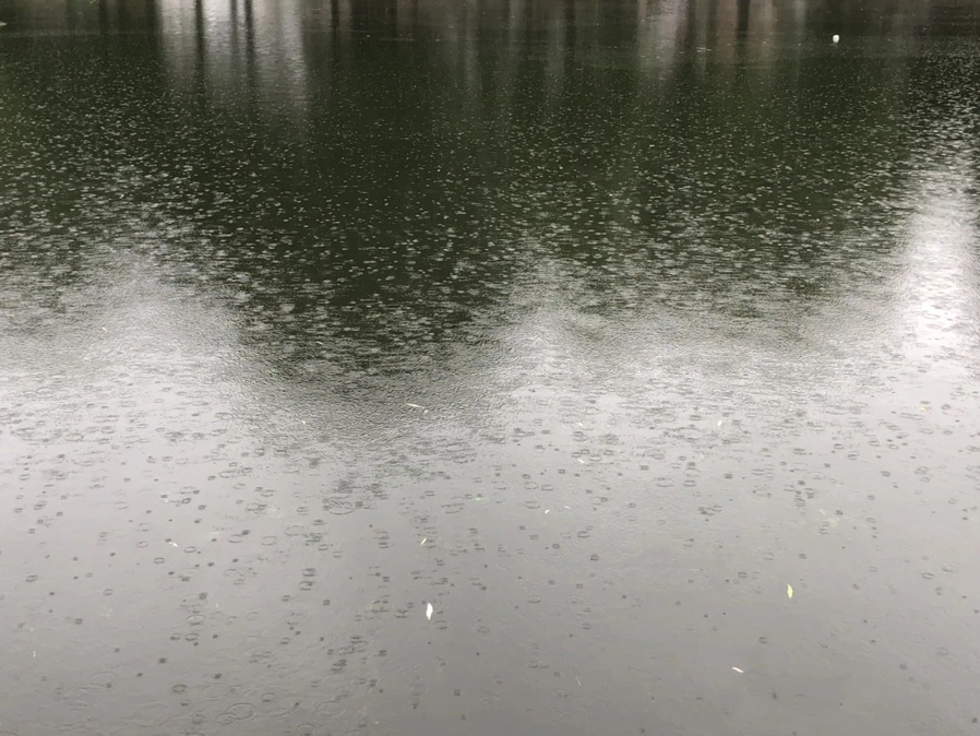 IMG_3266.jpg?type=w966