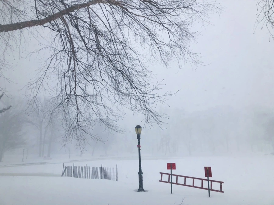 IMG_8808.jpg?type=w966