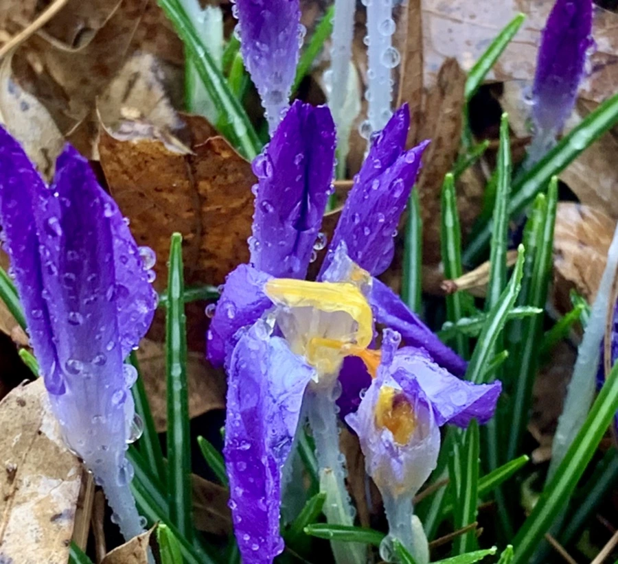 IMG_2178.jpg?type=w966