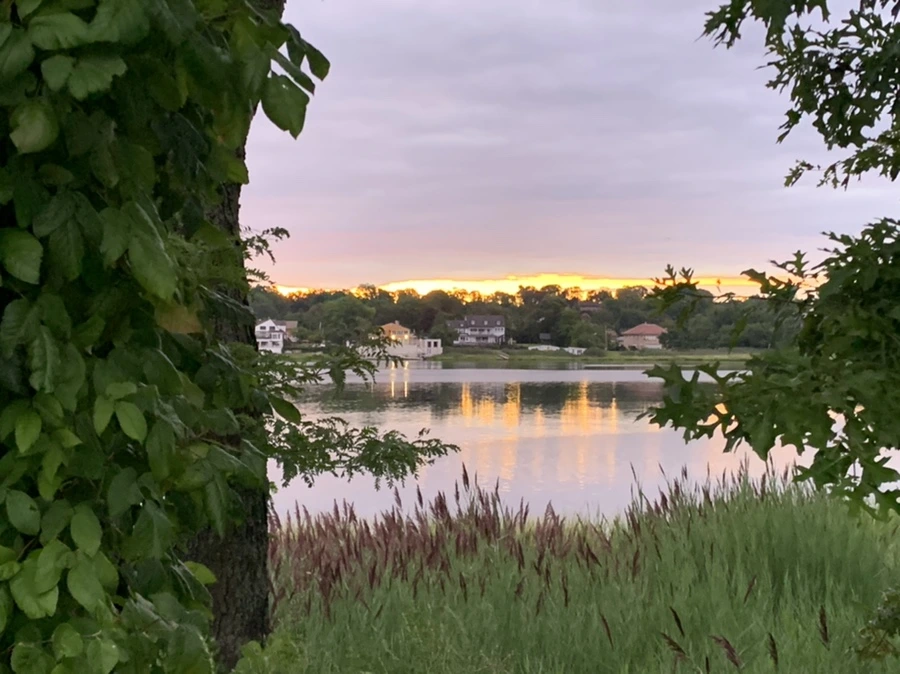 IMG_2287.jpg?type=w966