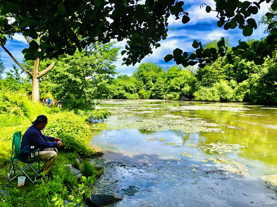 IMG_9481.jpg?type=w966