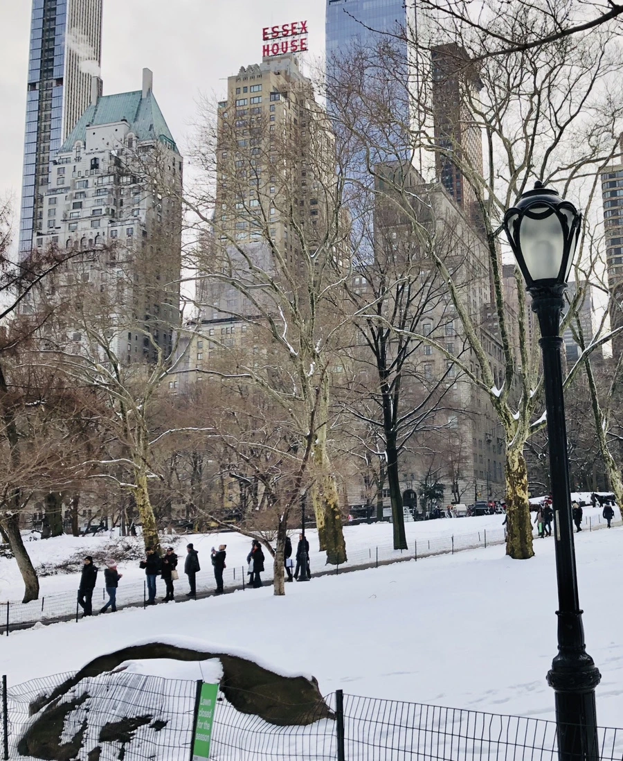 IMG_0386.jpg?type=w966