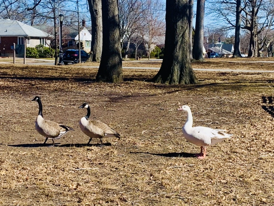 IMG_6825.jpg?type=w966