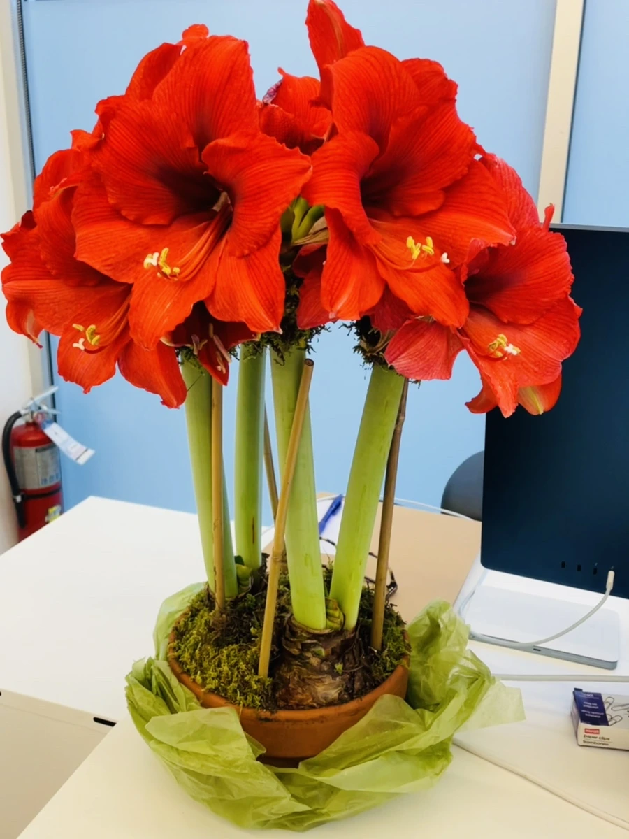 IMG_7463.jpg?type=w966