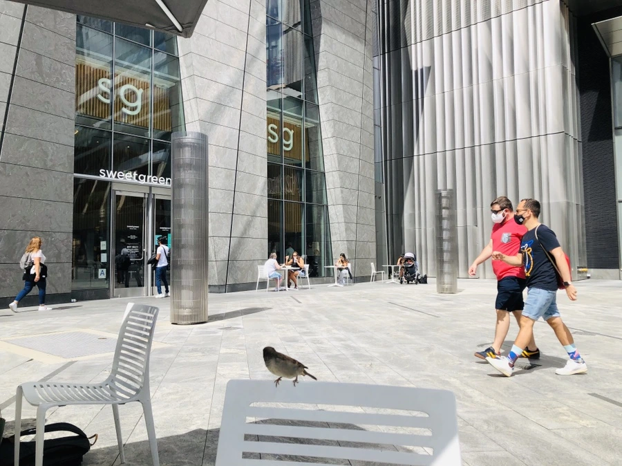 IMG_0007.jpg?type=w966