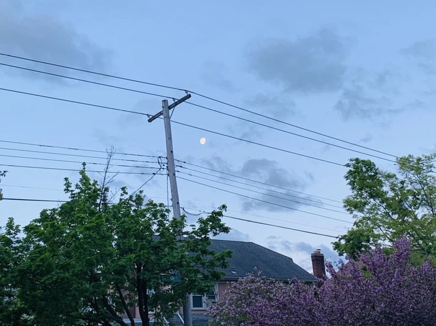 IMG_7500.jpg?type=w966