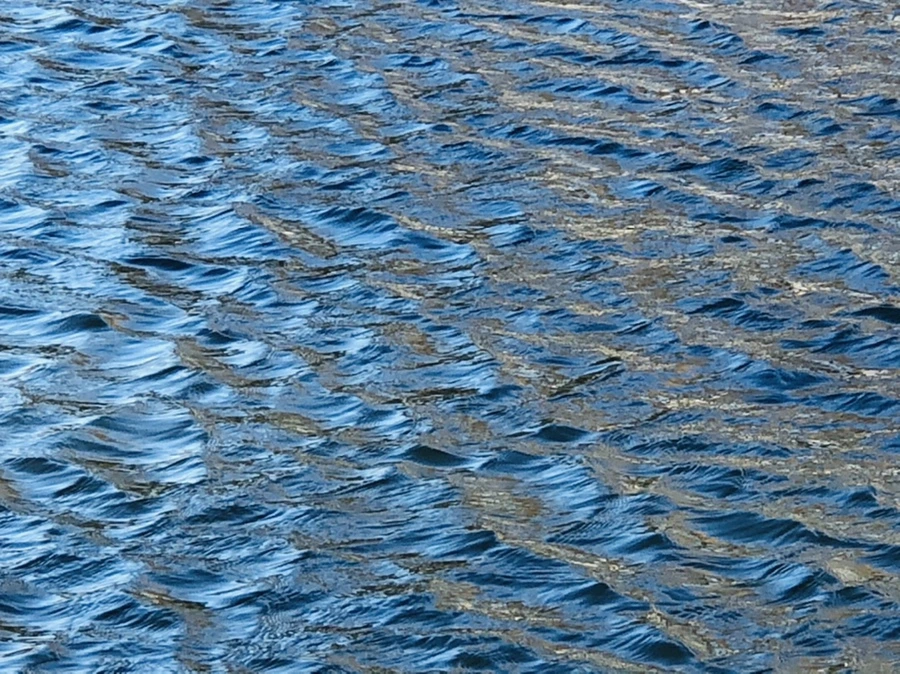 IMG_3824.jpg?type=w966