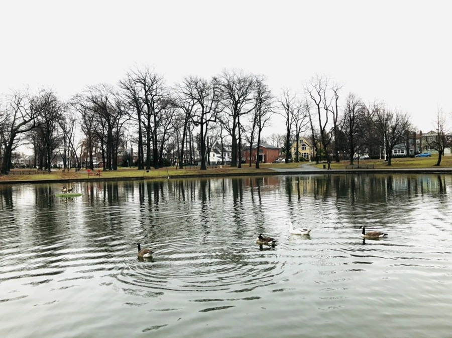 IMG_3330.jpg?type=w966