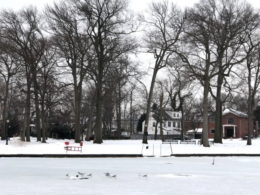 IMG_4313.jpg?type=w966