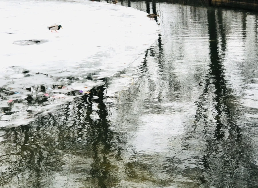 IMG_6239.jpg?type=w966