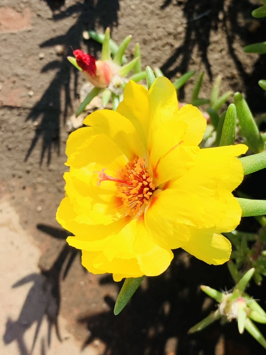 IMG_8398.jpg?type=w966