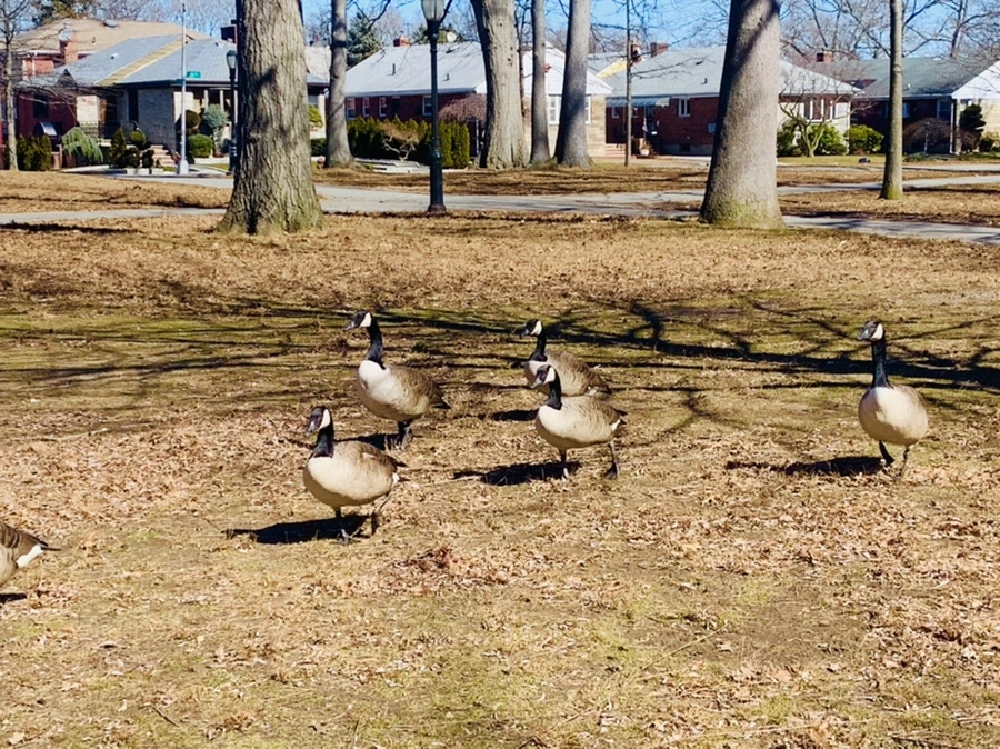 IMG_6657.jpg?type=w966