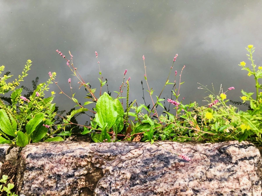 IMG_3219.jpg?type=w966