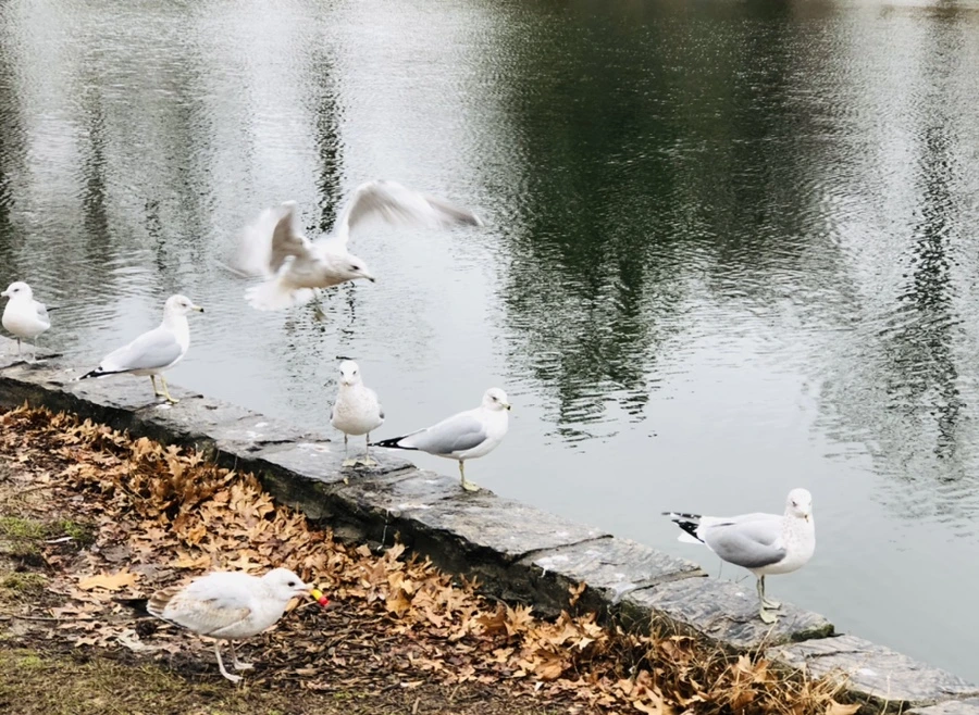 IMG_9636.jpg?type=w966