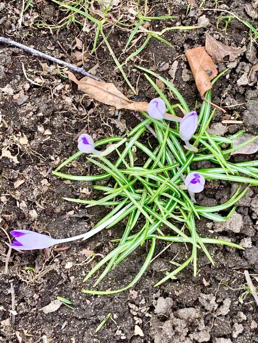 IMG_7070.jpg?type=w966