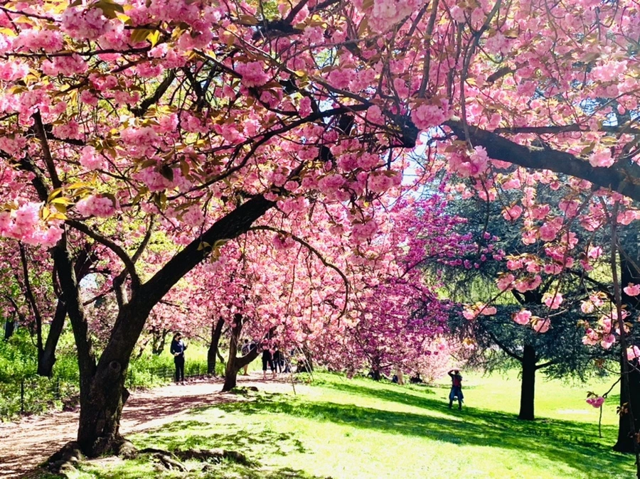 IMG_5879.jpg?type=w966