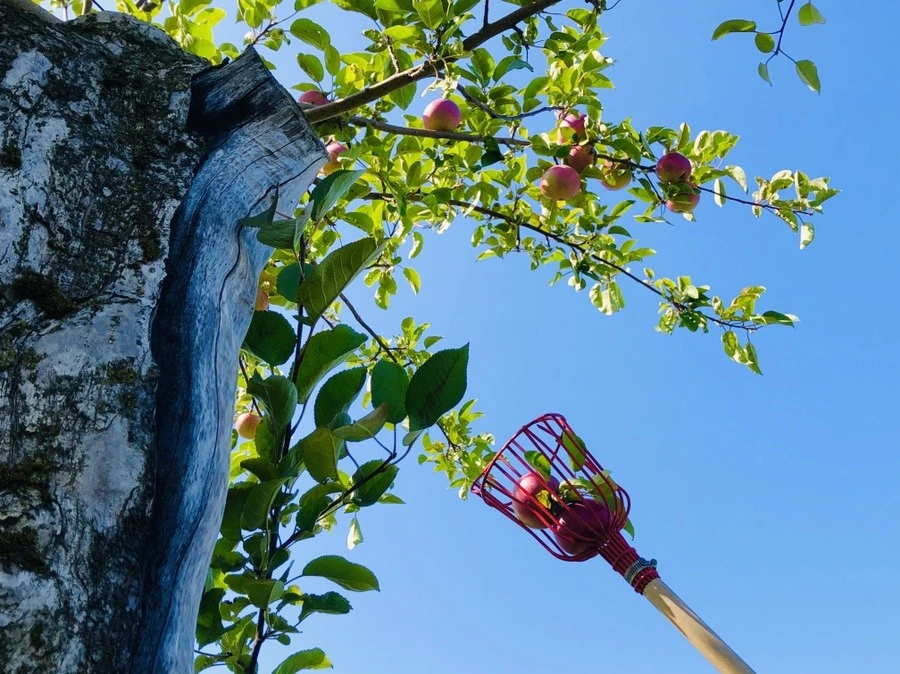 SKXUUh2h_j0UHWYobwclAn2WrTs