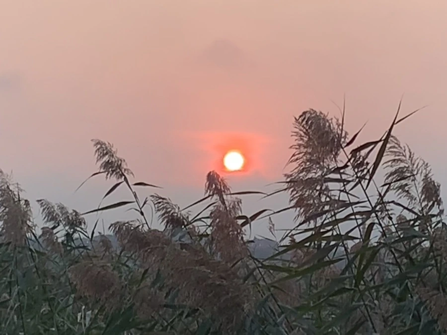 IMG_1107.jpg?type=w966