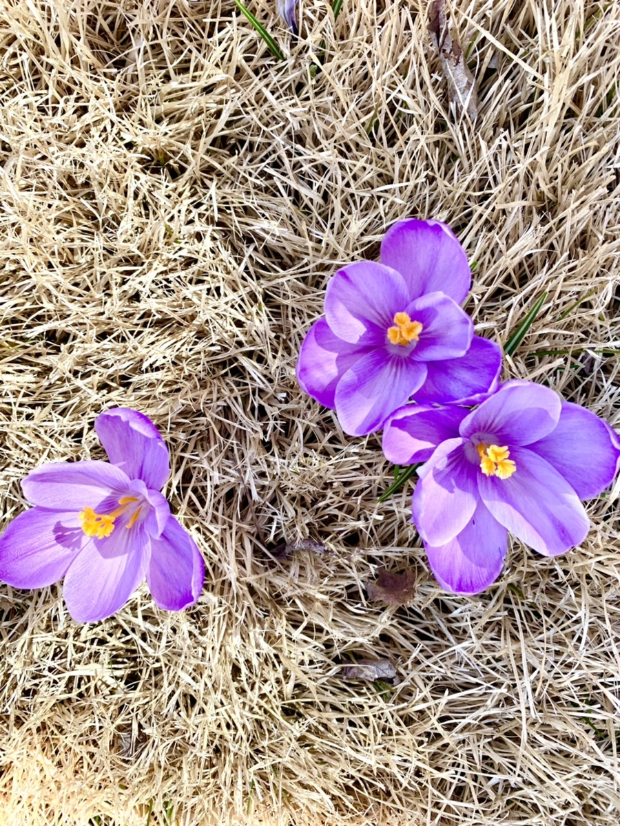 IMG_3147.jpg?type=w966