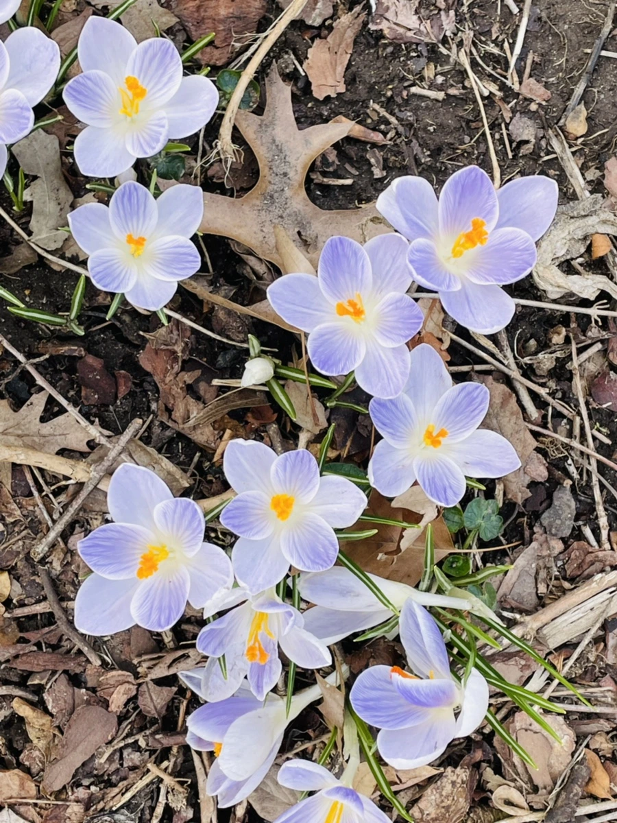 IMG_5170.jpg?type=w966