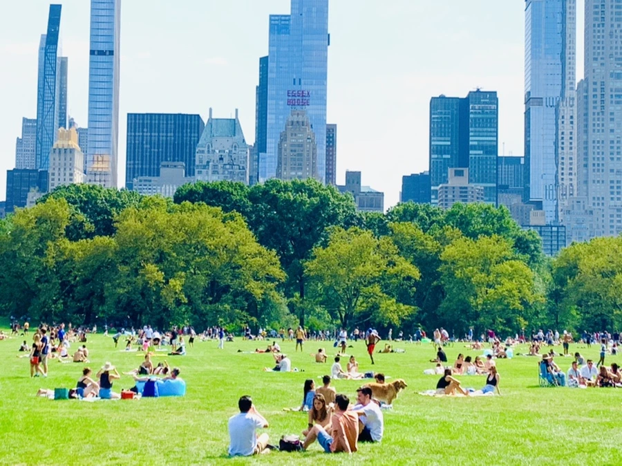 IMG_0611.jpg?type=w966