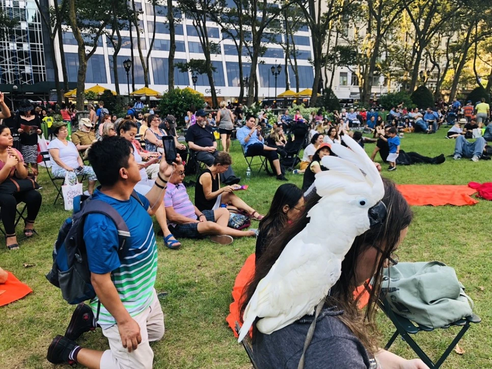 IMG_7791.jpg?type=w966