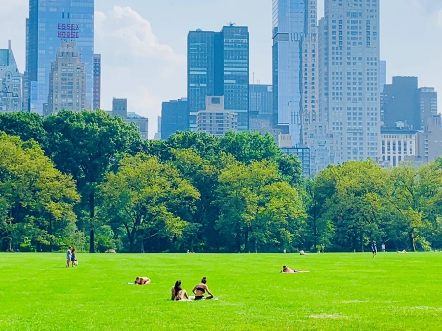 IMG_1703.jpg?type=w966