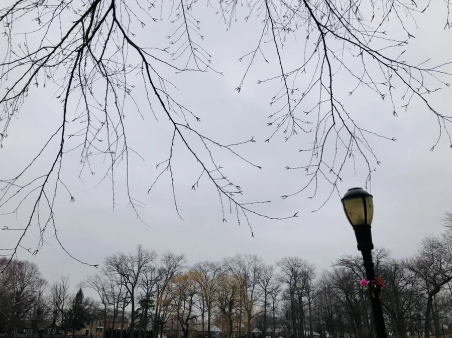 IMG_3112.jpg?type=w966