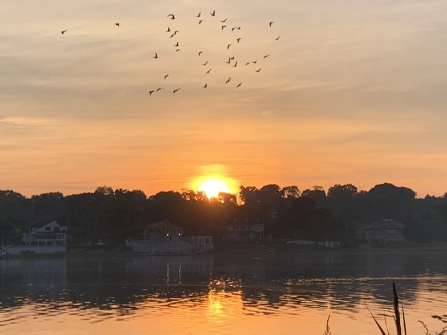 IMG_6839.jpg?type=w966