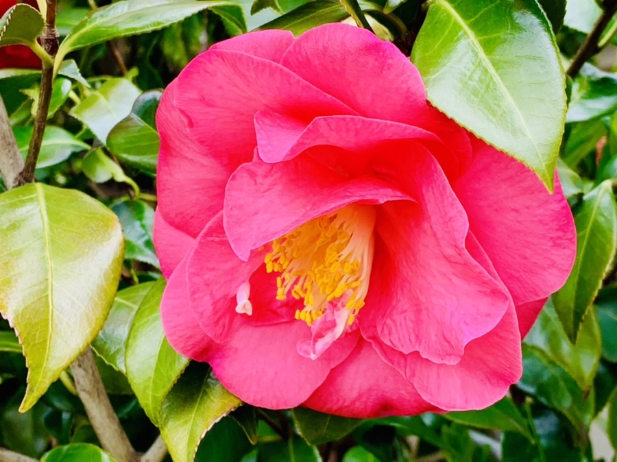 IMG_6659.jpg?type=w966