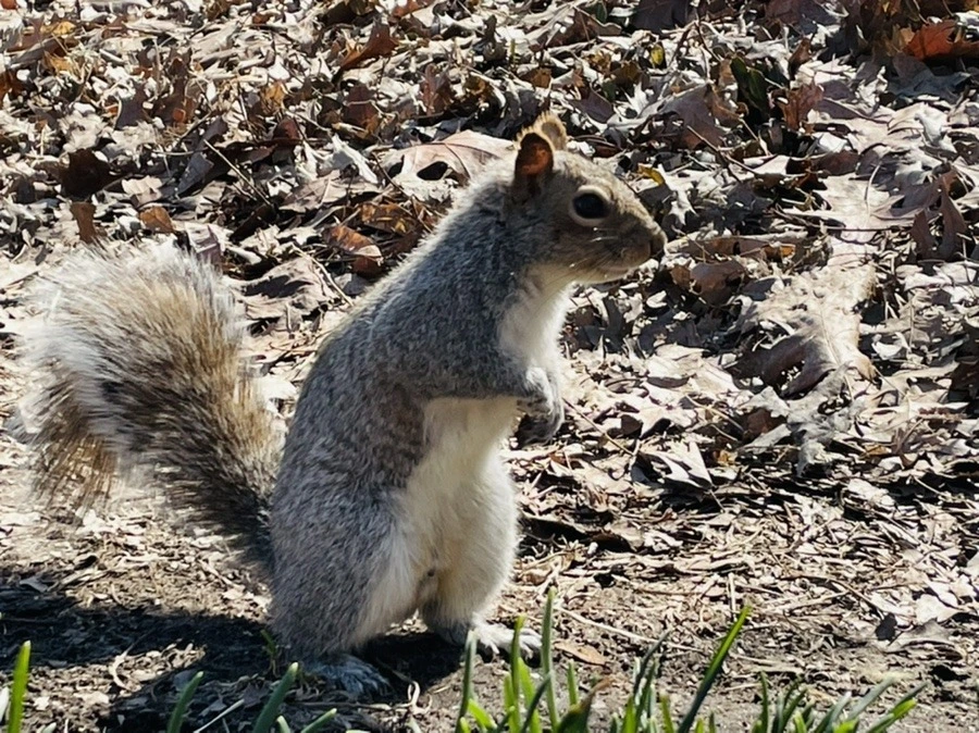 ZnPo_q9goLa6FIPFFxYIJeByTK8